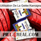 Utilisation De La Gelée Kamagra 12